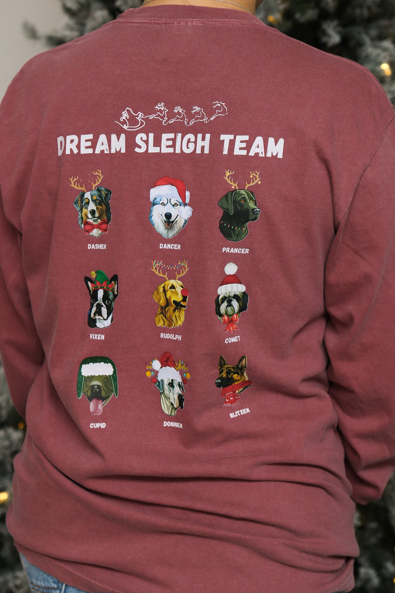 Dog Sleigh Team Long Sleeve Graphic Tee (brick)