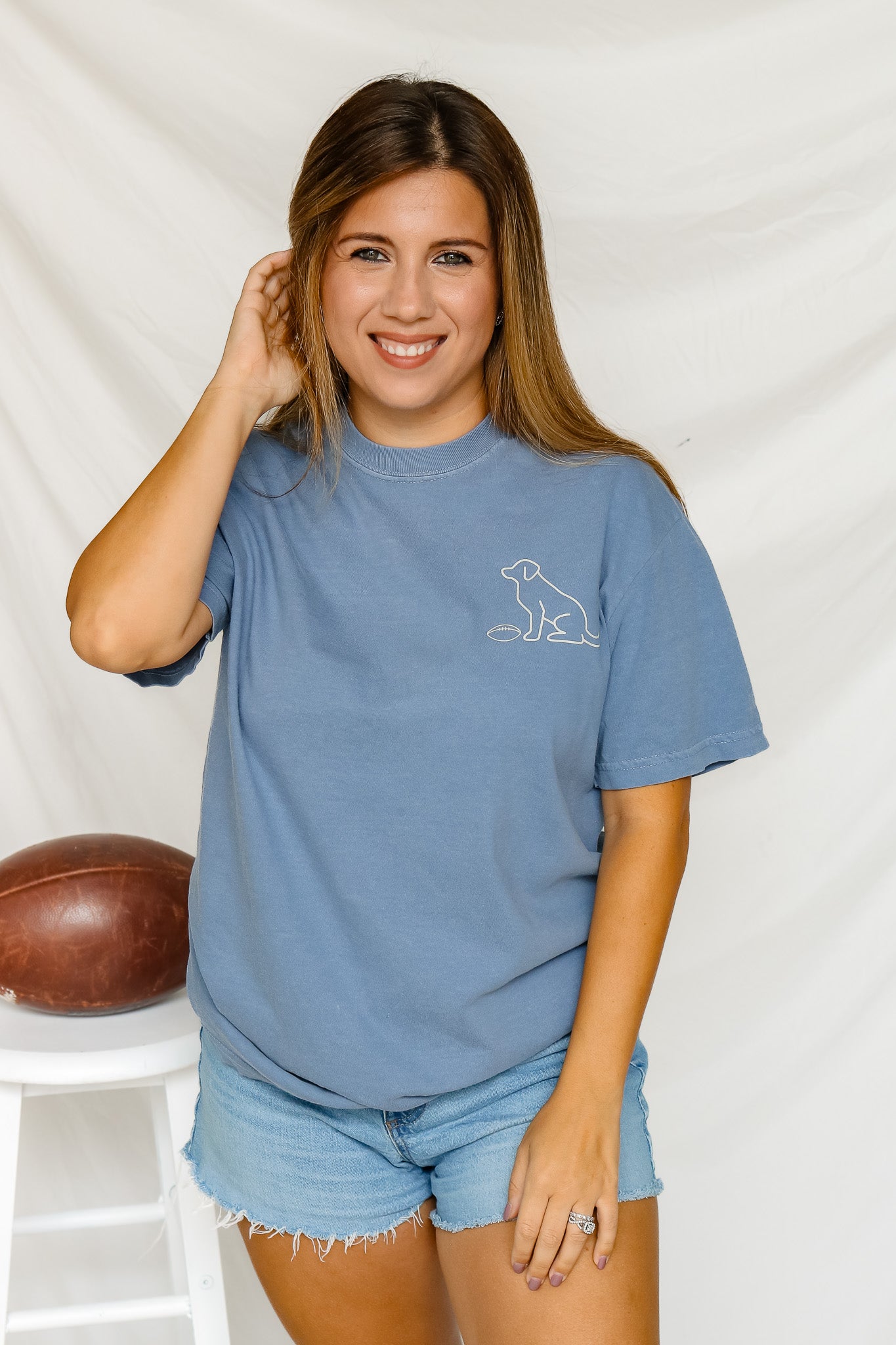 Dog Fantasy Football Short Sleeve Graphic Tee (blue)