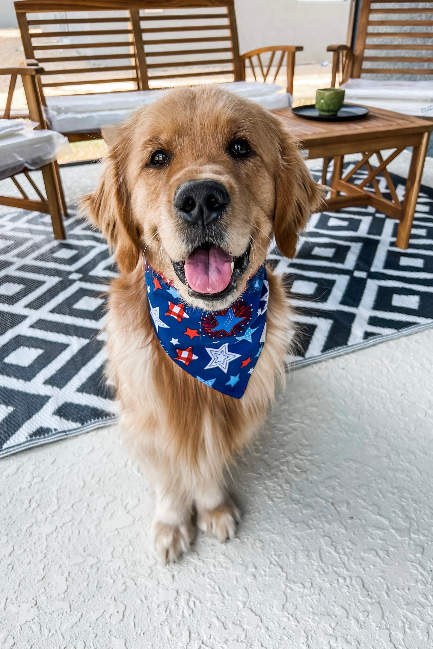 Stars Reversible Bandana