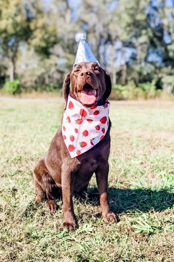Strawberry Fields Bandana