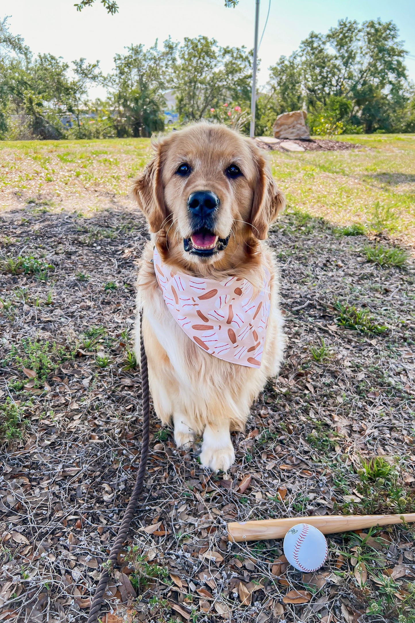 Boho Baseball Bandana (tan)