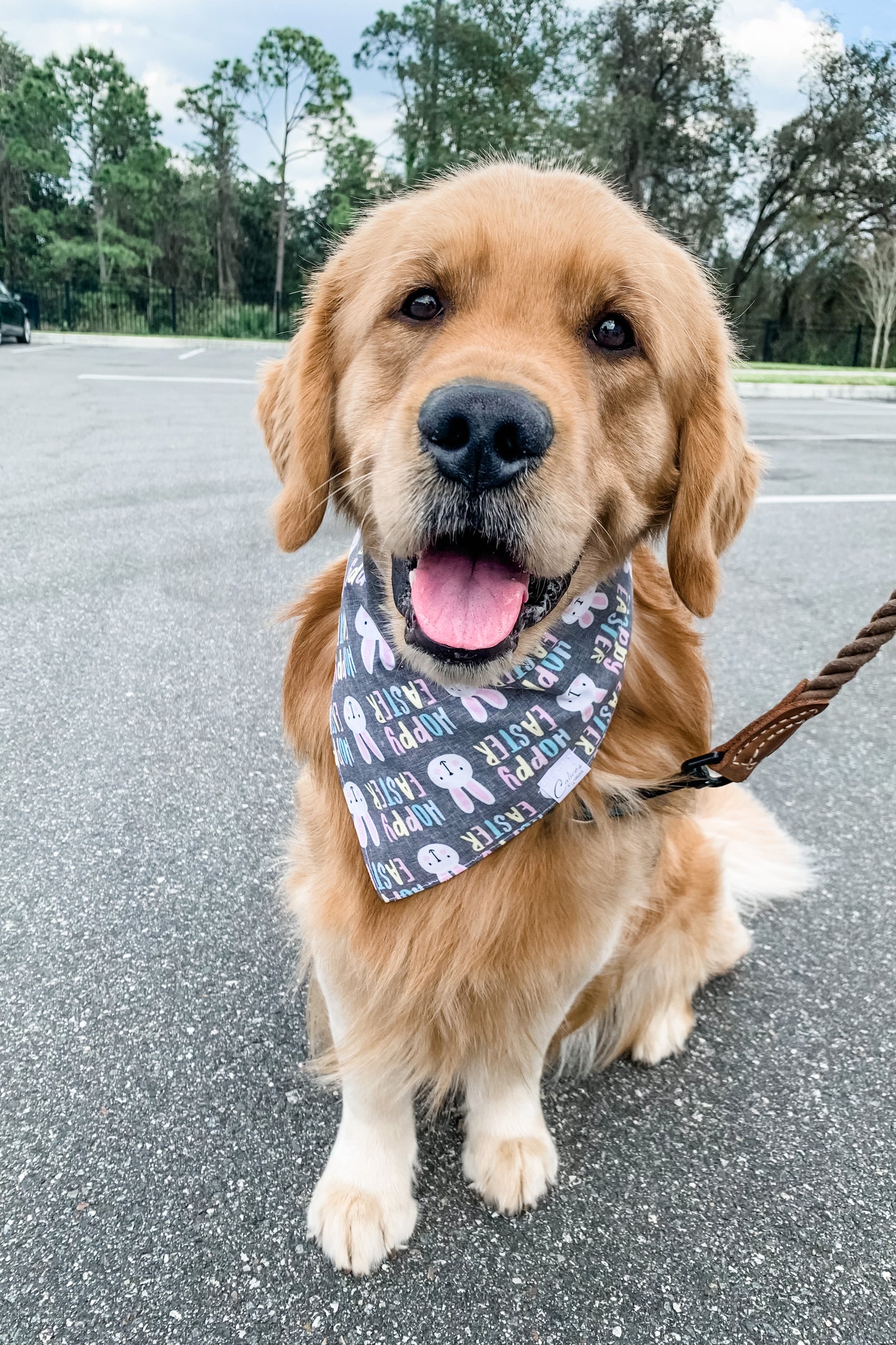 Hoppy Easter Bandana
