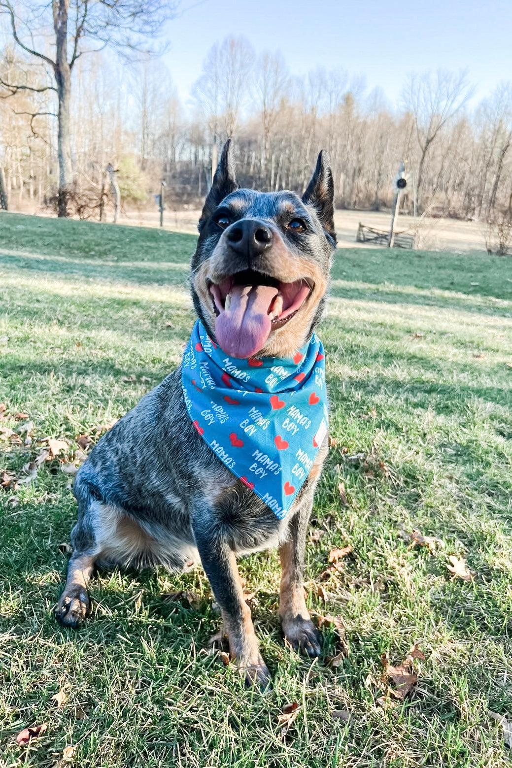 Mama's Boy Bandana