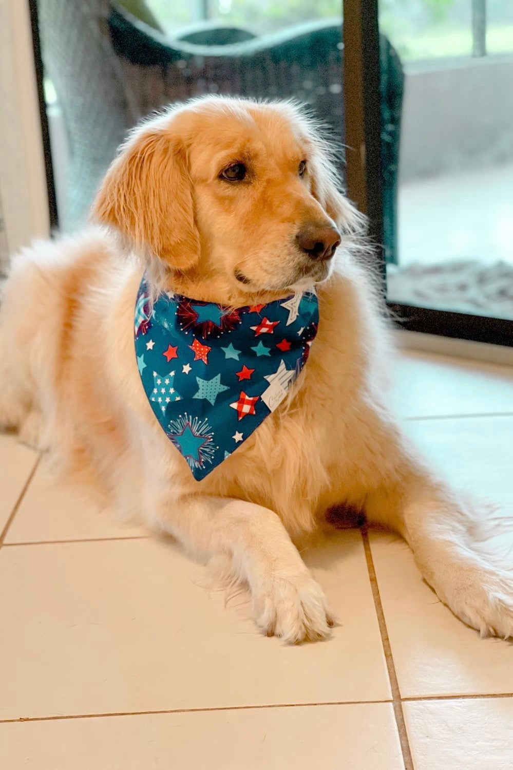 Stars Reversible Bandana