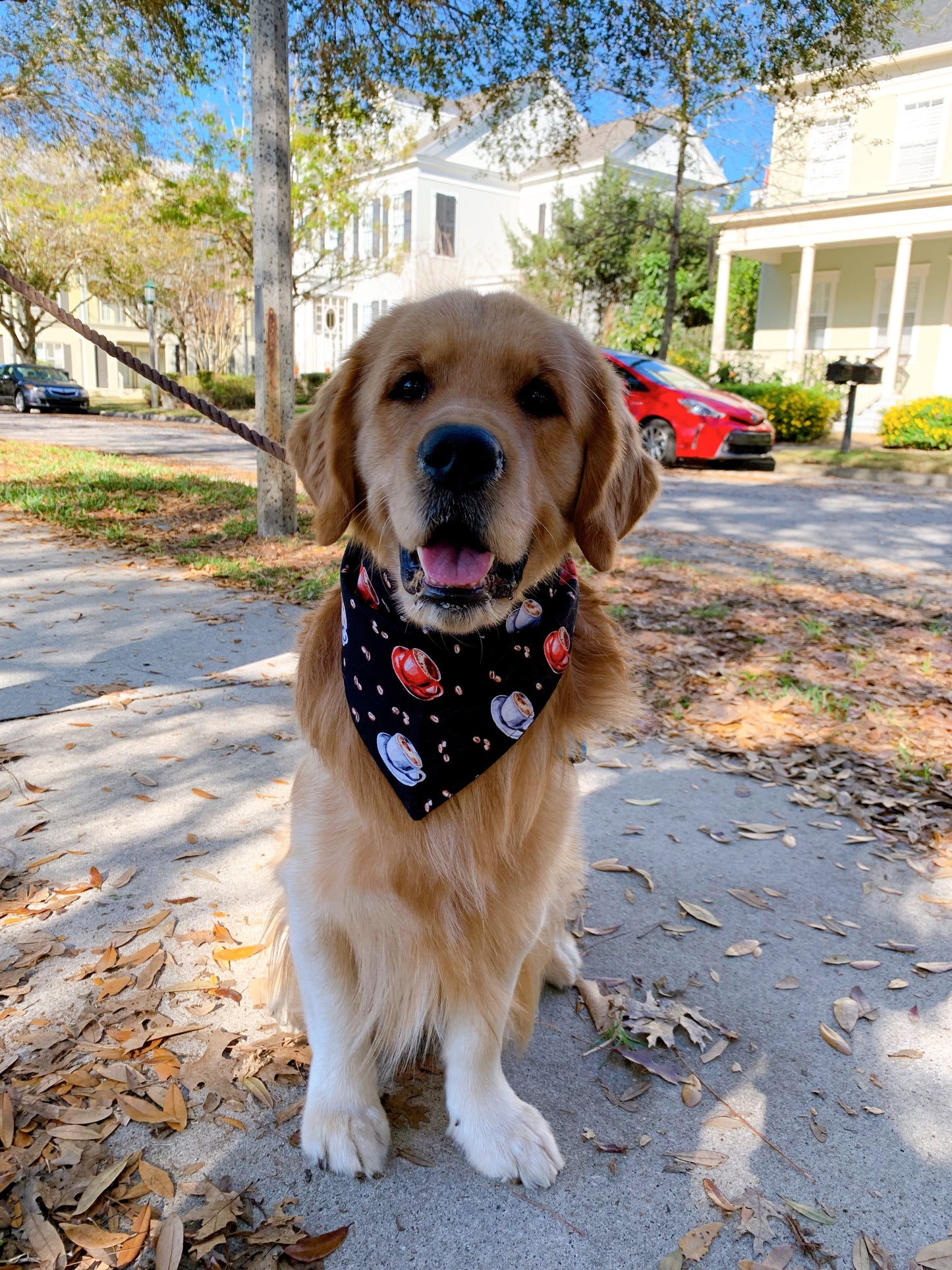 Coffee With Me Bandana