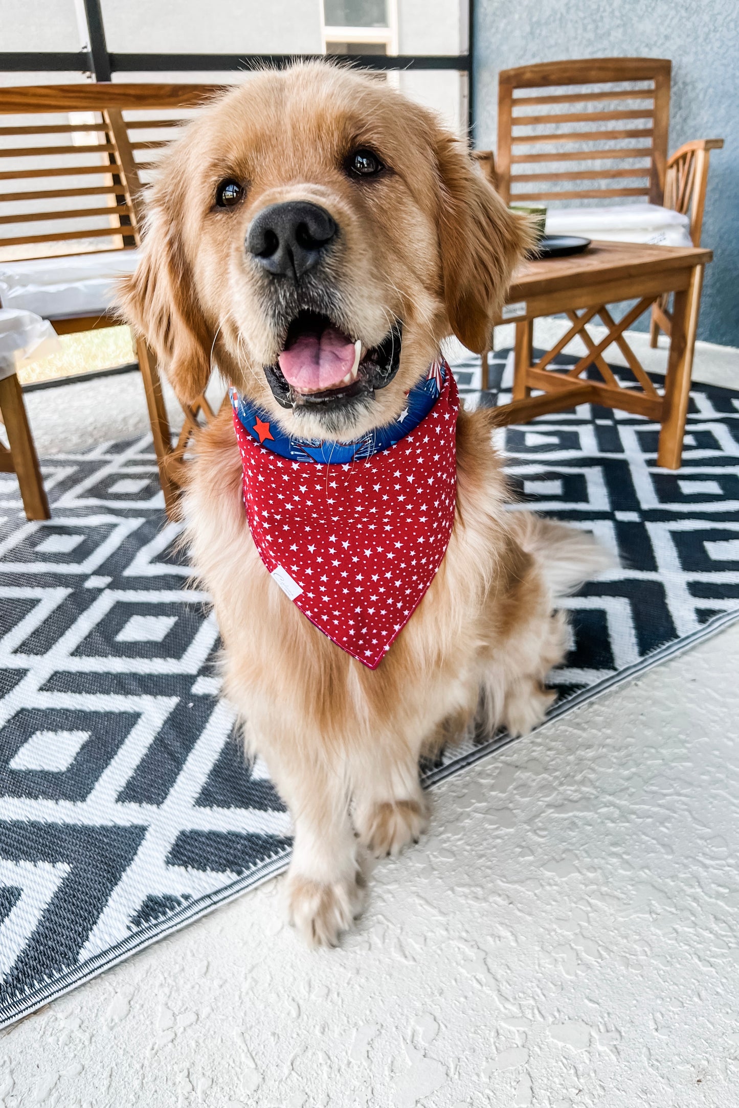 Stars Reversible Bandana