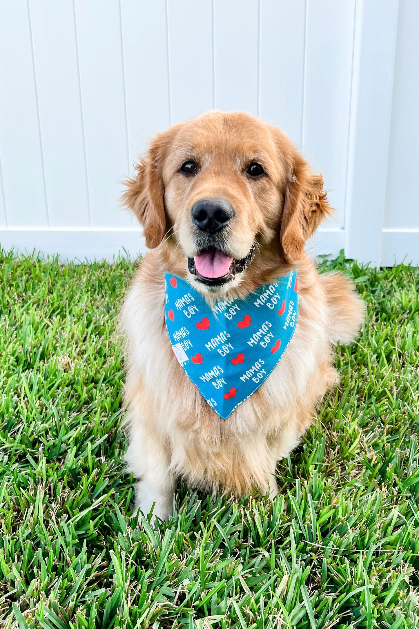 Mama's Boy Bandana
