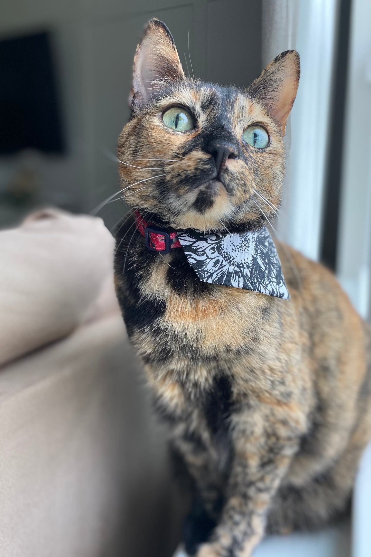 Midnight Florals Bandana