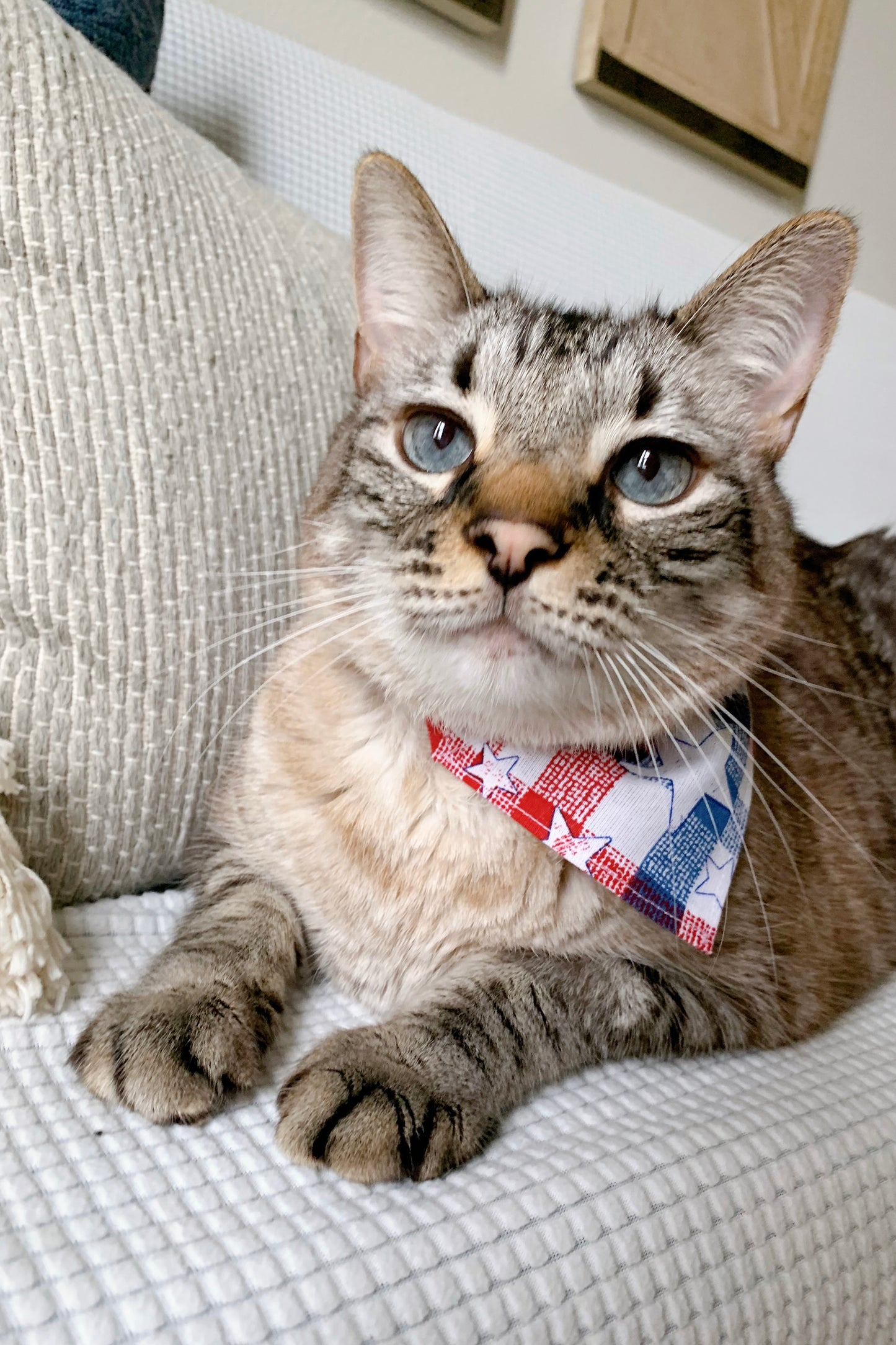 American Plaid Bandana