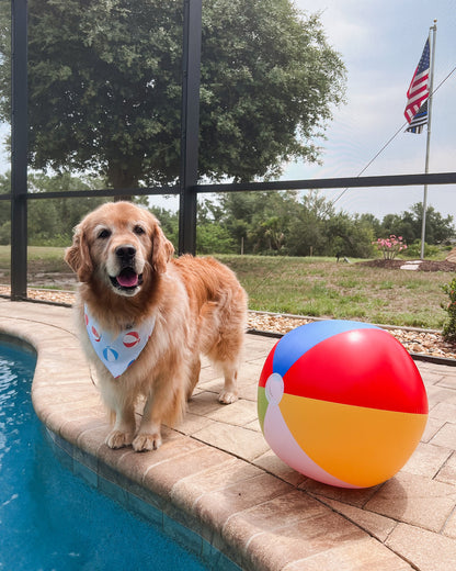 Beach Ball Bandana