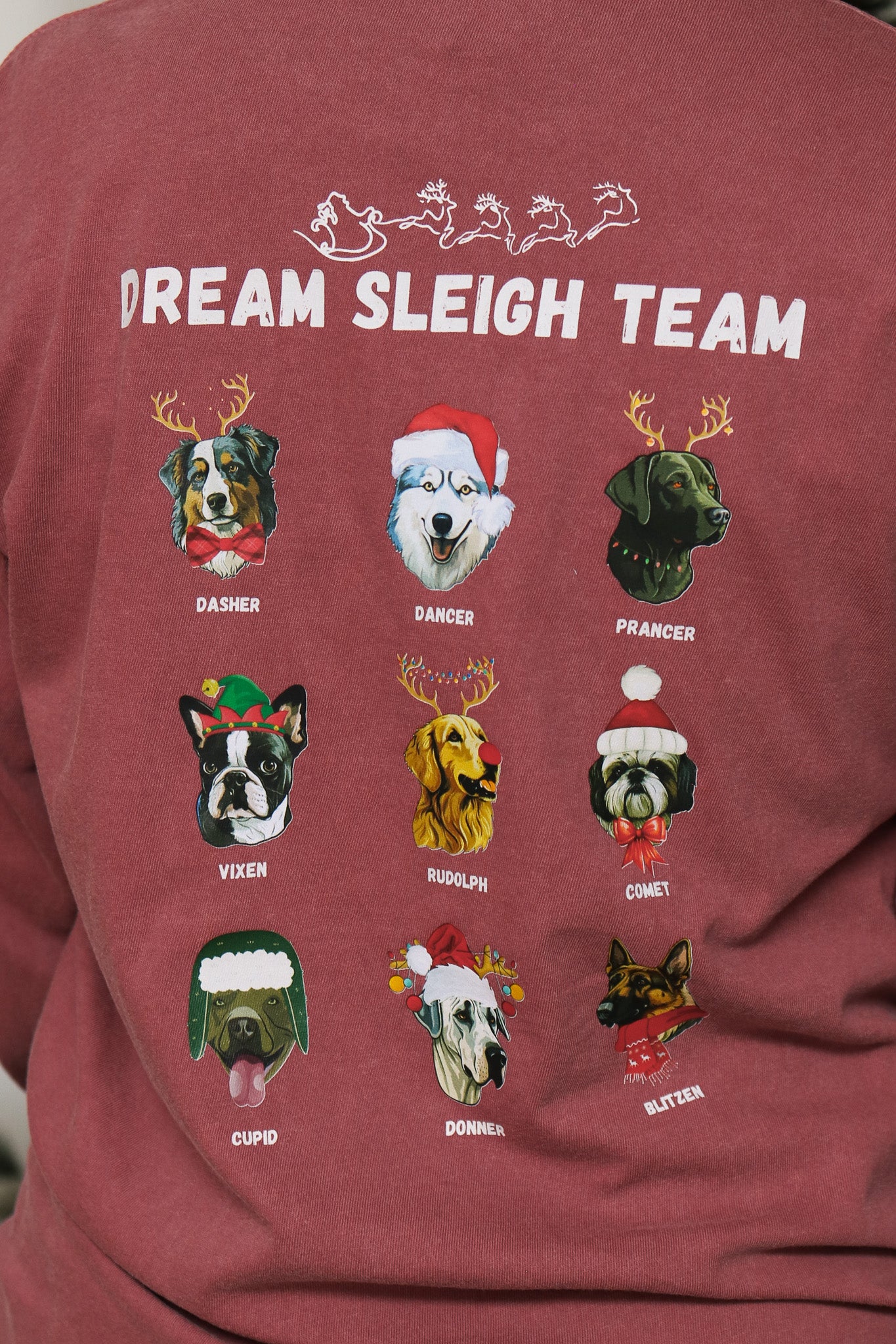 Dog Sleigh Team Long Sleeve Graphic Tee (brick)