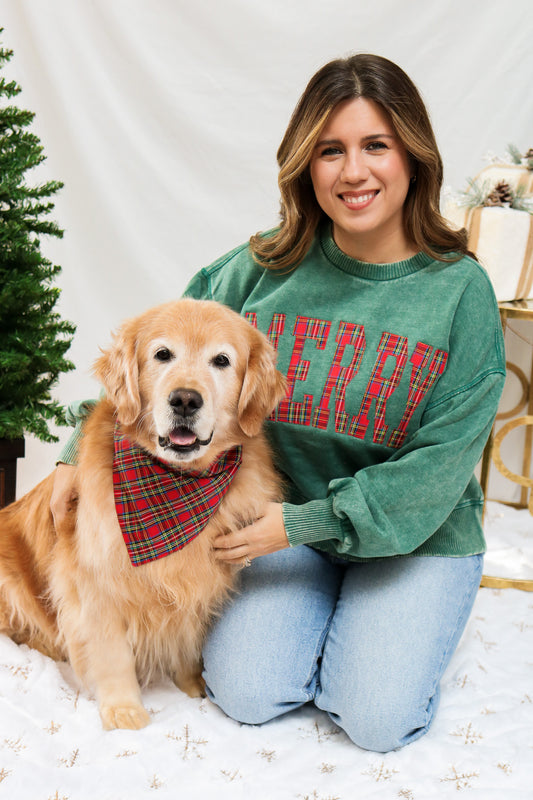 Merry Embroidered Pullover (green)