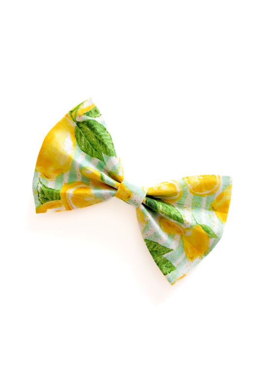 Lemon Pet Bow