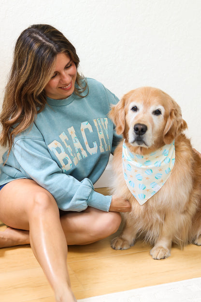 Beachy Embroidered Pullover