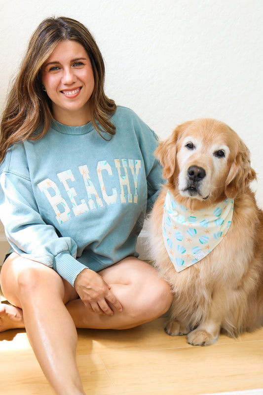 Beachy Embroidered Pullover