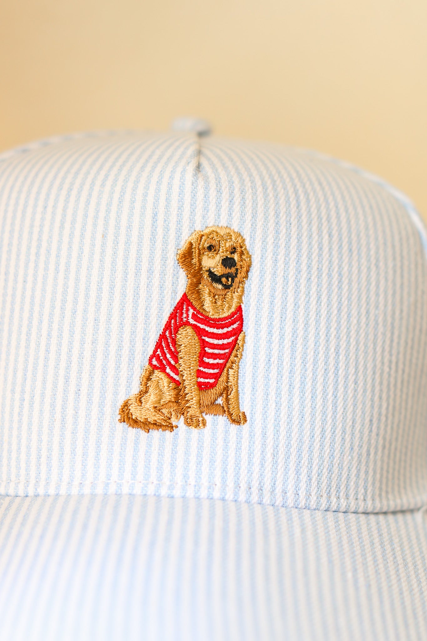 Striped Golden Retriever Hat (blue)