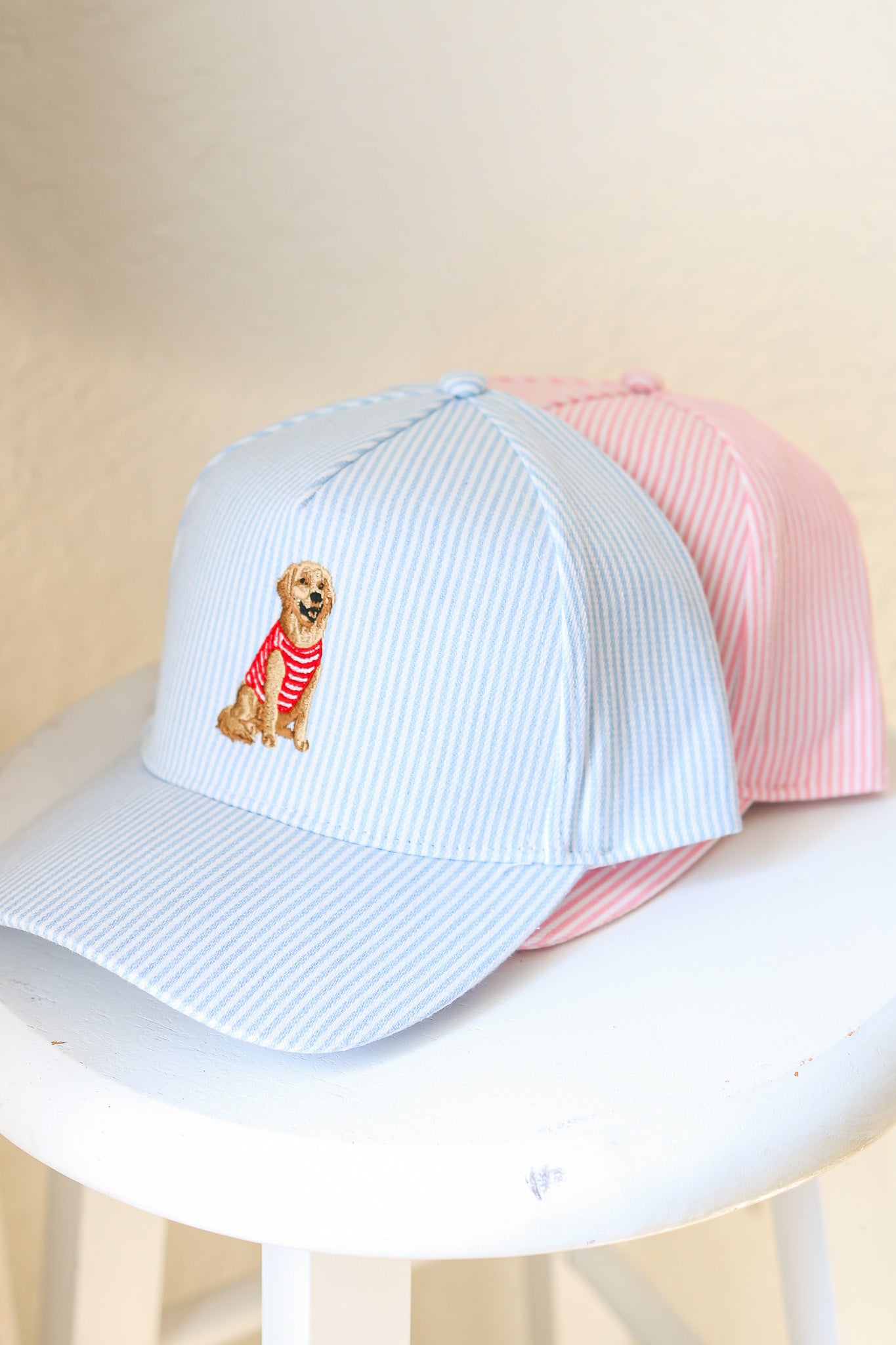 Striped Golden Retriever Hat (blue)