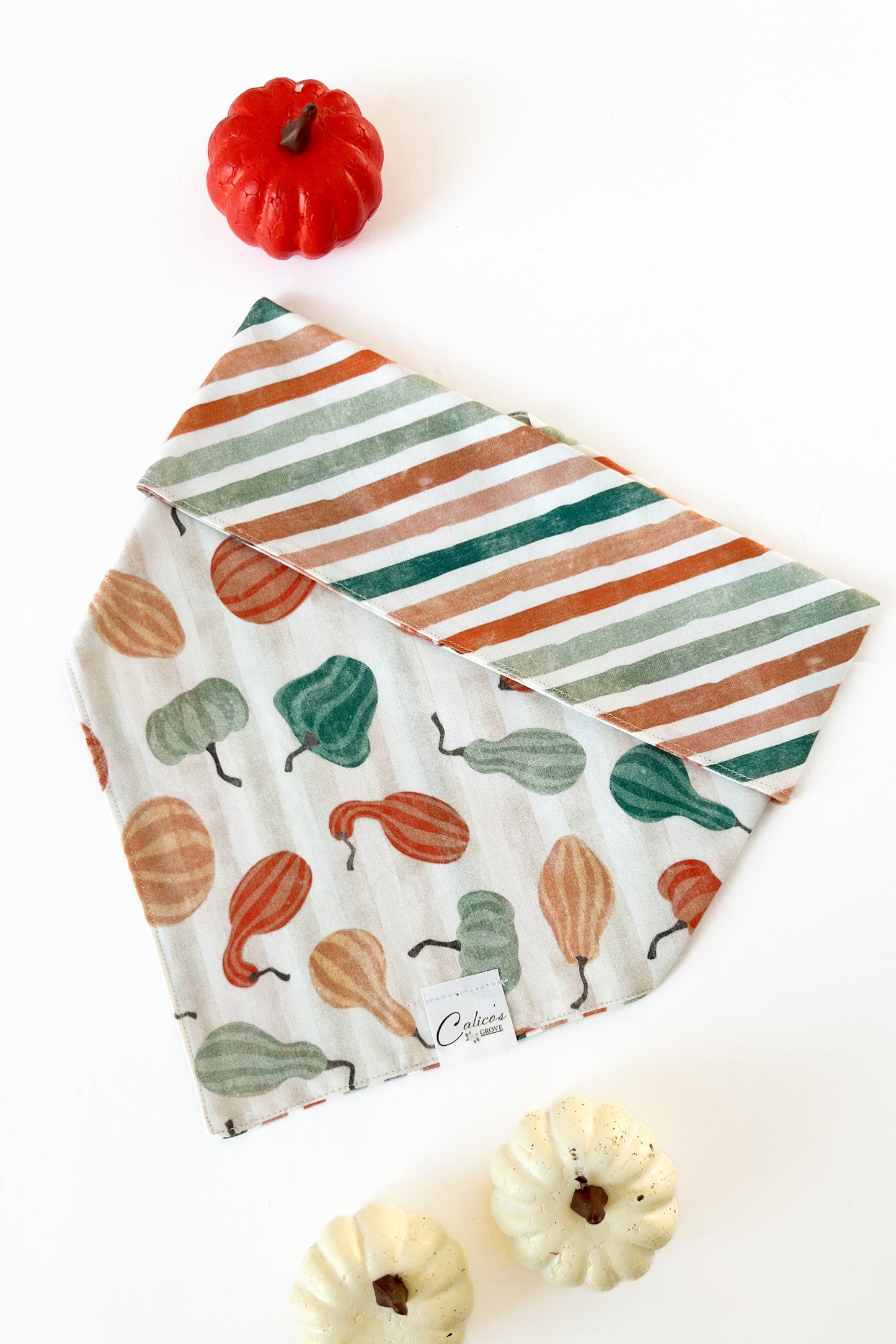 Gourds And Stripes Reversible Bandana